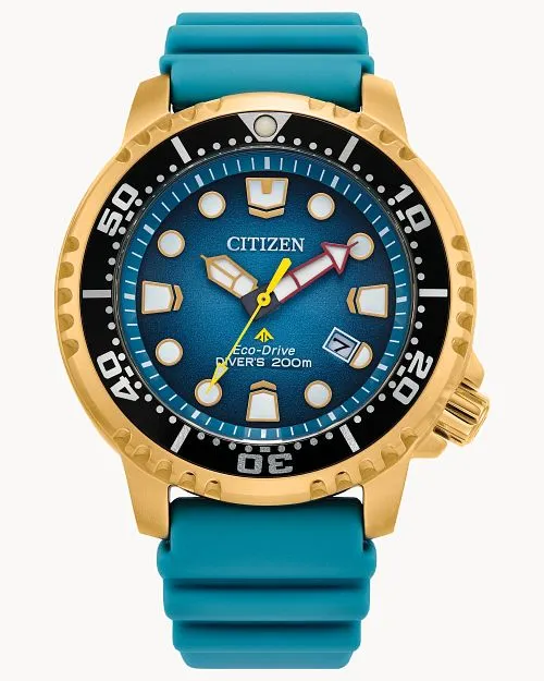 Citizen Promaster dive watch