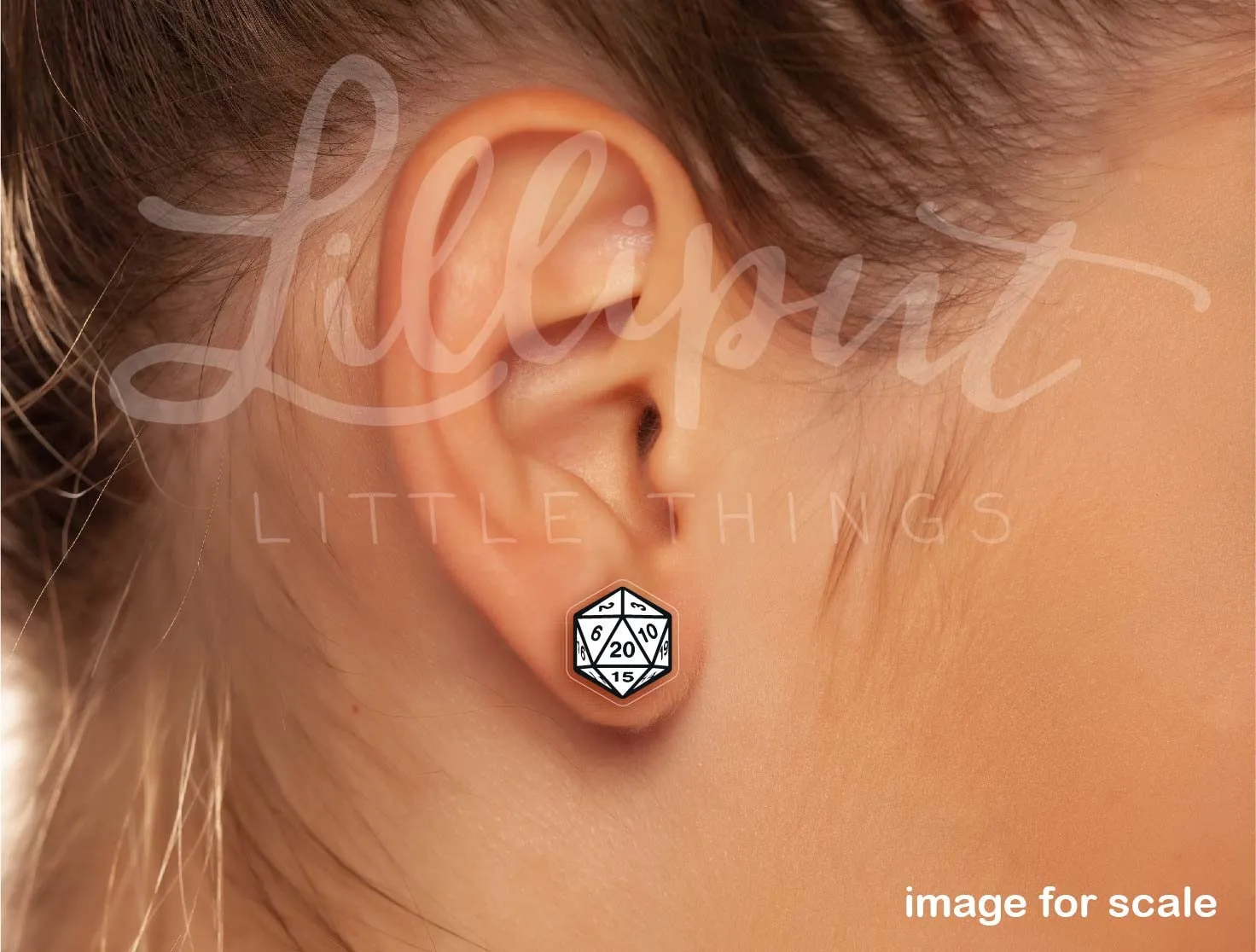 D20 Earrings