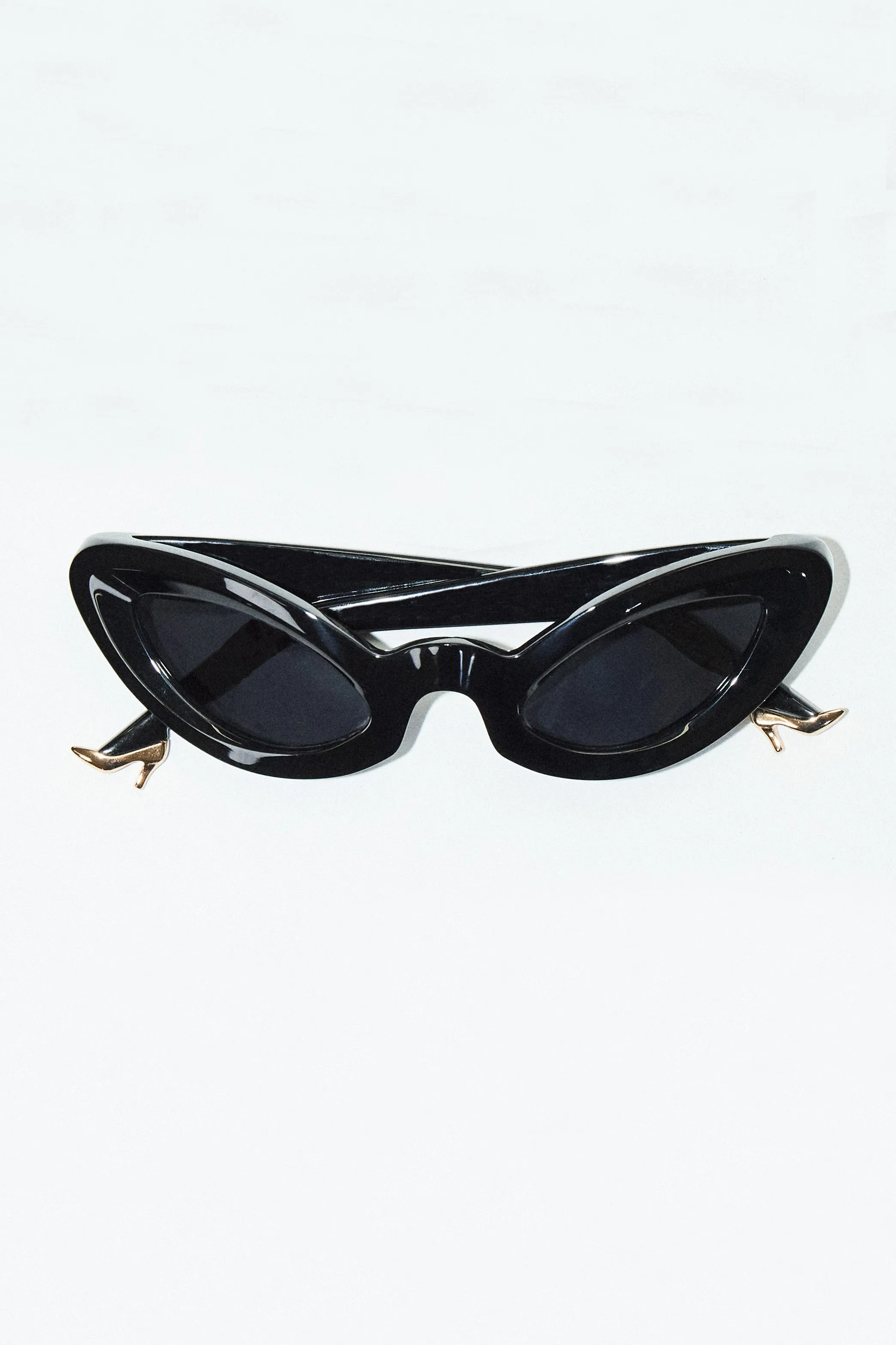 Lizard Sunglasses Black