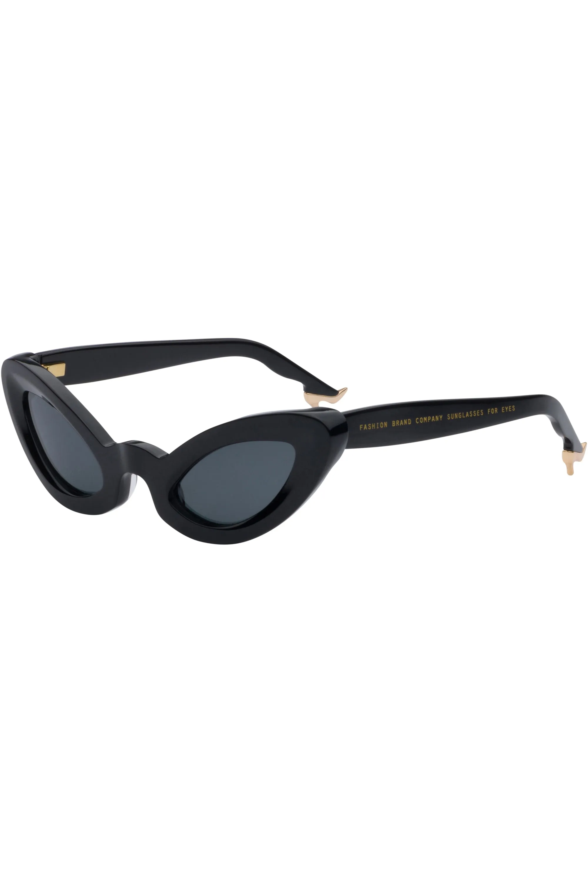 Lizard Sunglasses Black