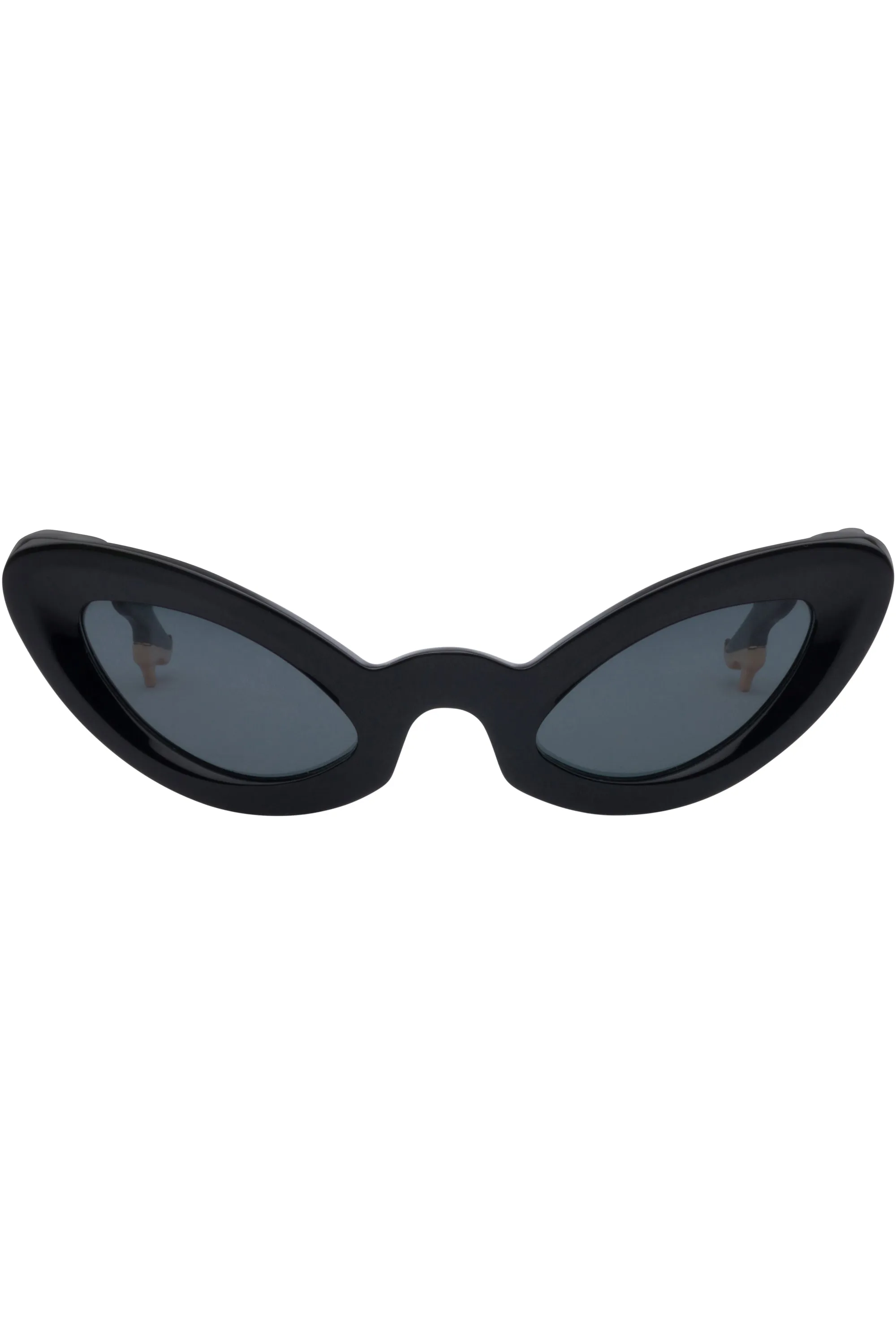 Lizard Sunglasses Black