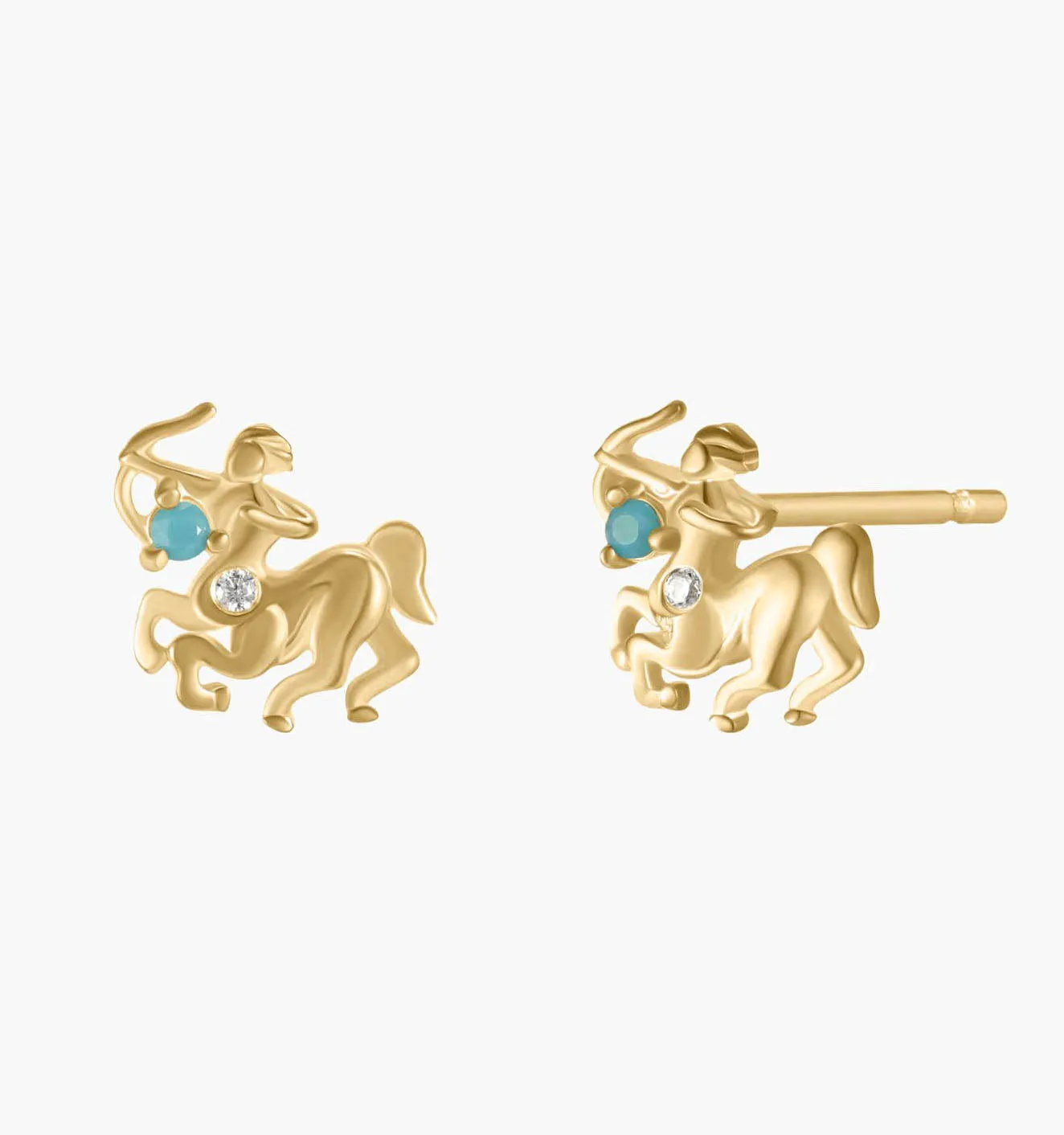 Sagittarius Earrings