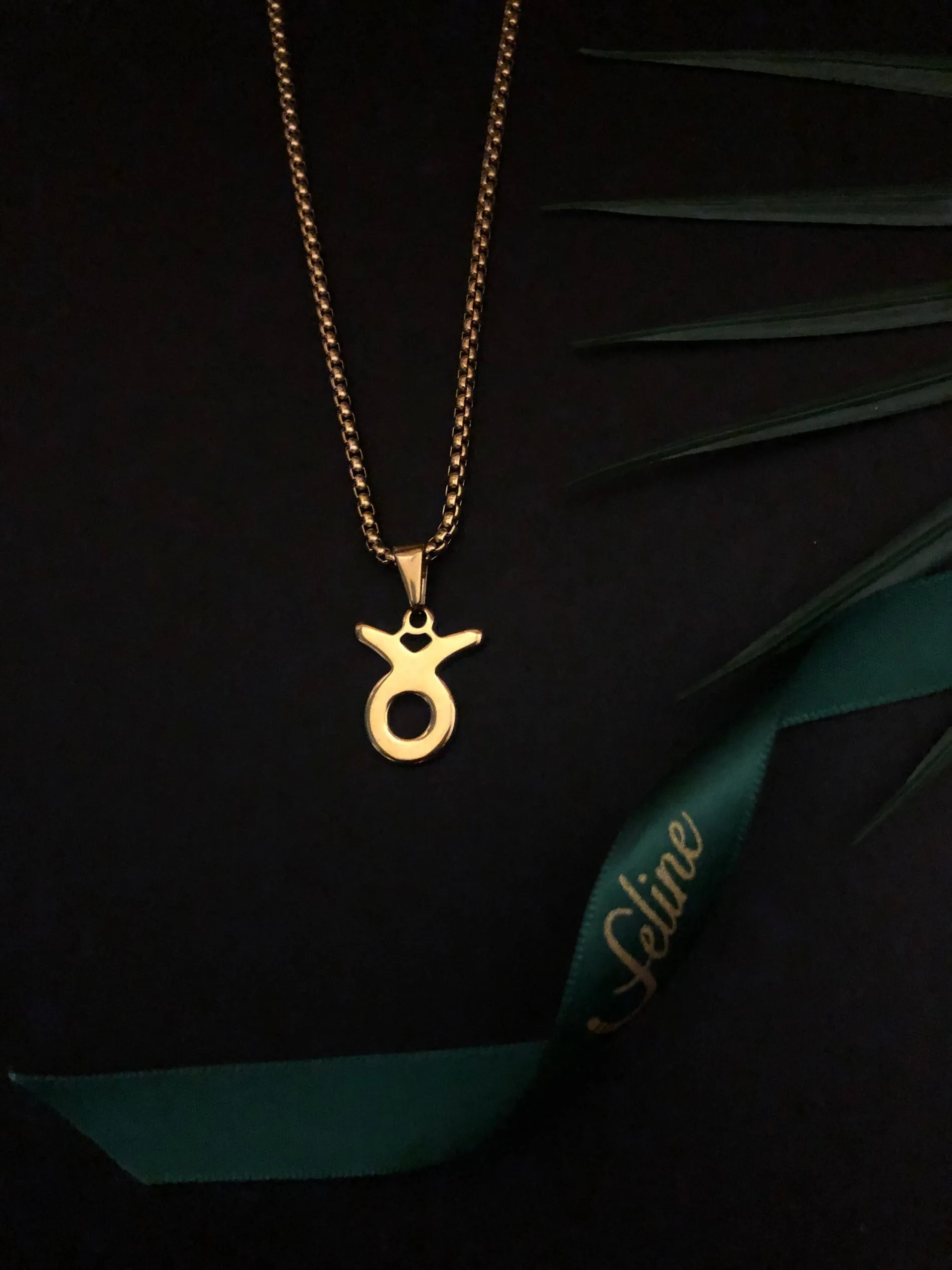 Taurus Flat Horoscope Necklace